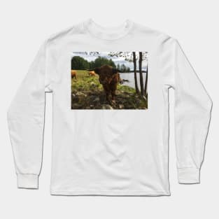 Scottish Highland Cattle Bulls 2035 Long Sleeve T-Shirt